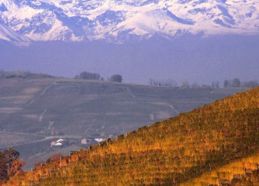 Cascina del Monastero, Winzer aus Piemont